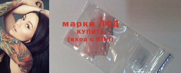 дживик Баксан