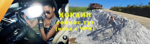 дживик Баксан