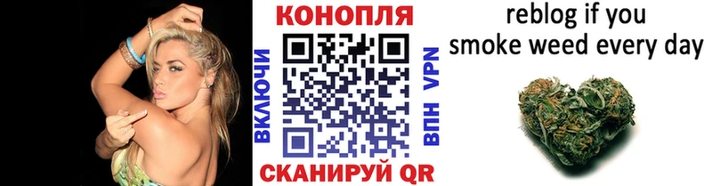 где найти   Шимановск  Конопля SATIVA & INDICA 